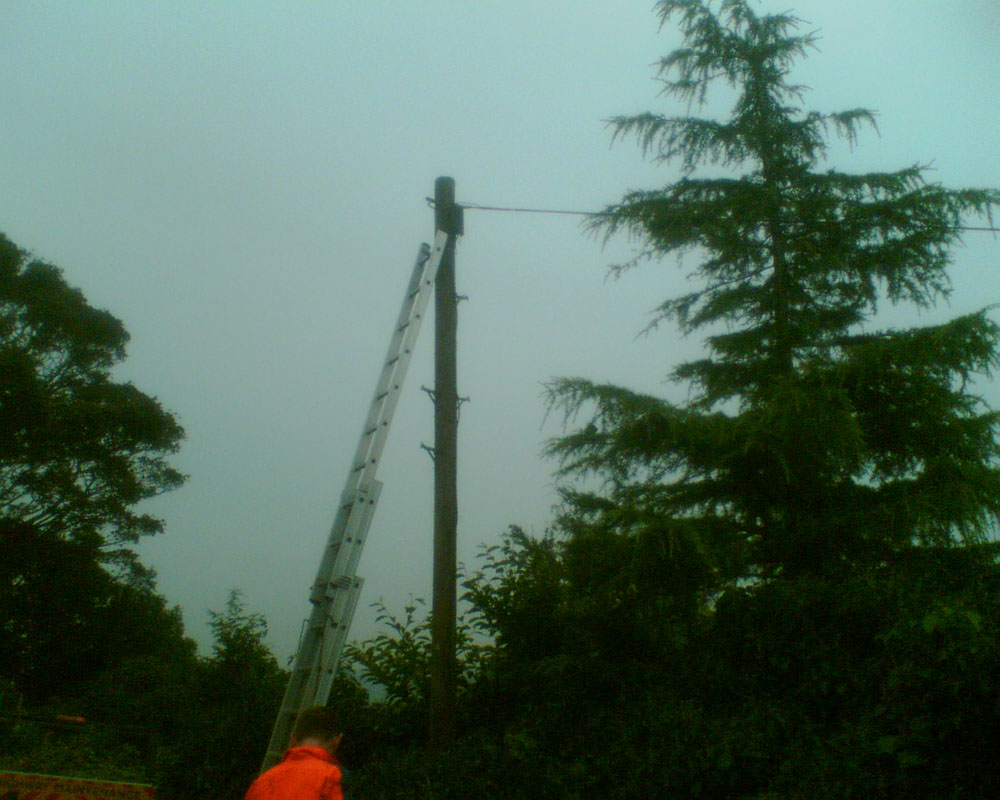 A perfectly saucy telegraph pole out in the sticks