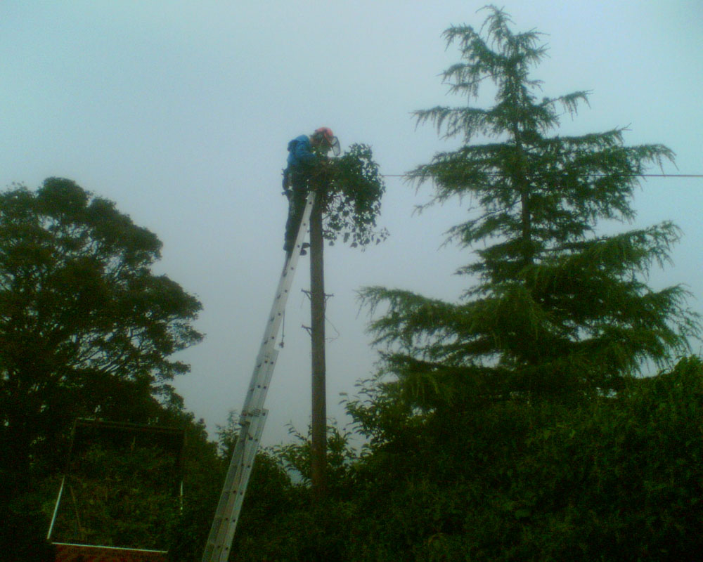 A telegraph pole being covered up by BT staff
