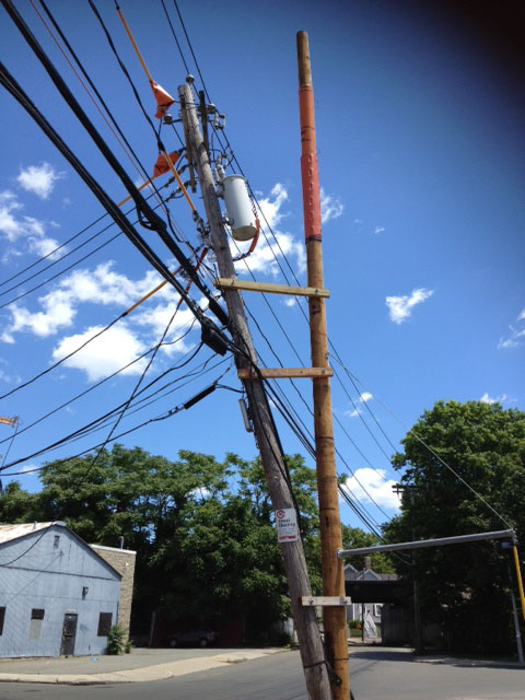 An extreme example of a daughter pole from Massachusetts
