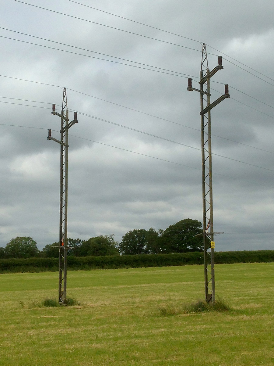 A pari of pole/pylon hybrids in a field of barley