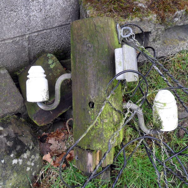 A severed head in Mid Wales