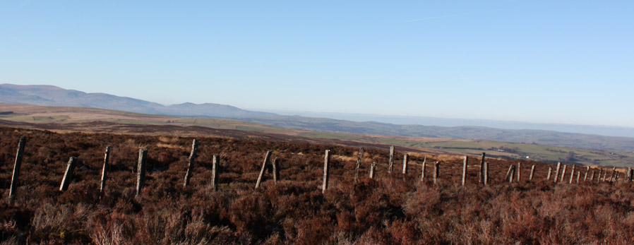 An alternative telephone network? A fence across the Hirathog, North Wales