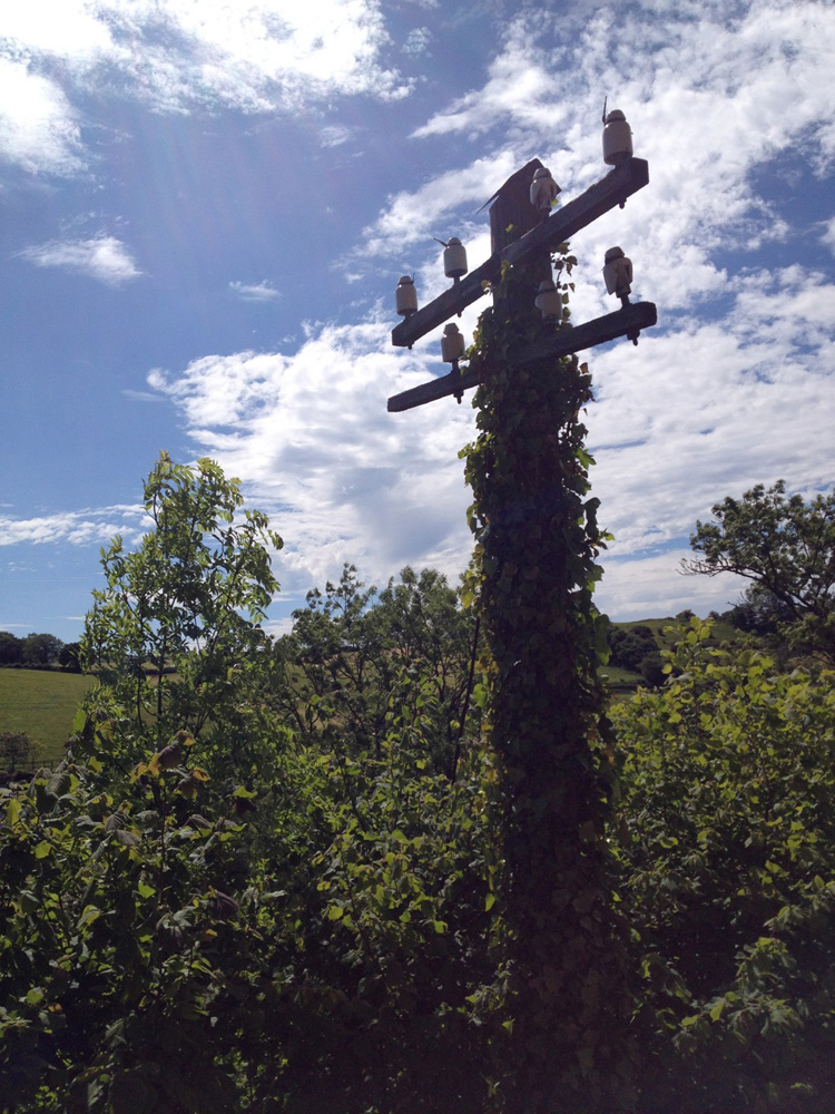 A very old pole trackside of the West Somerset Railway.