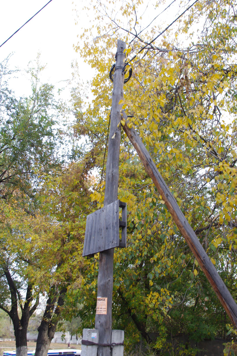 A pallet half way up a utility pole in Kazhakstan