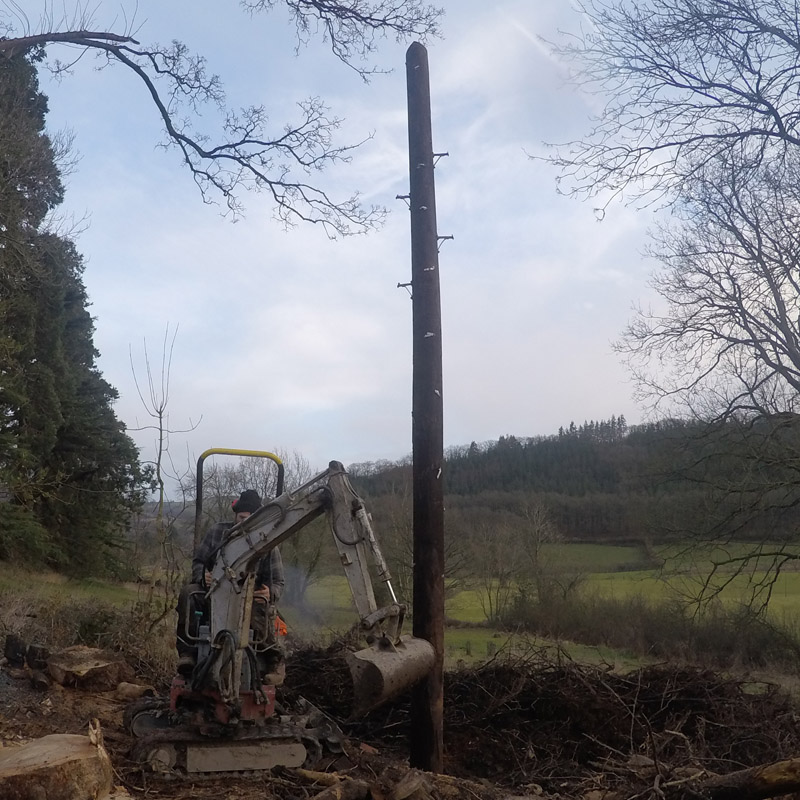 Our telegraph pole on the way up