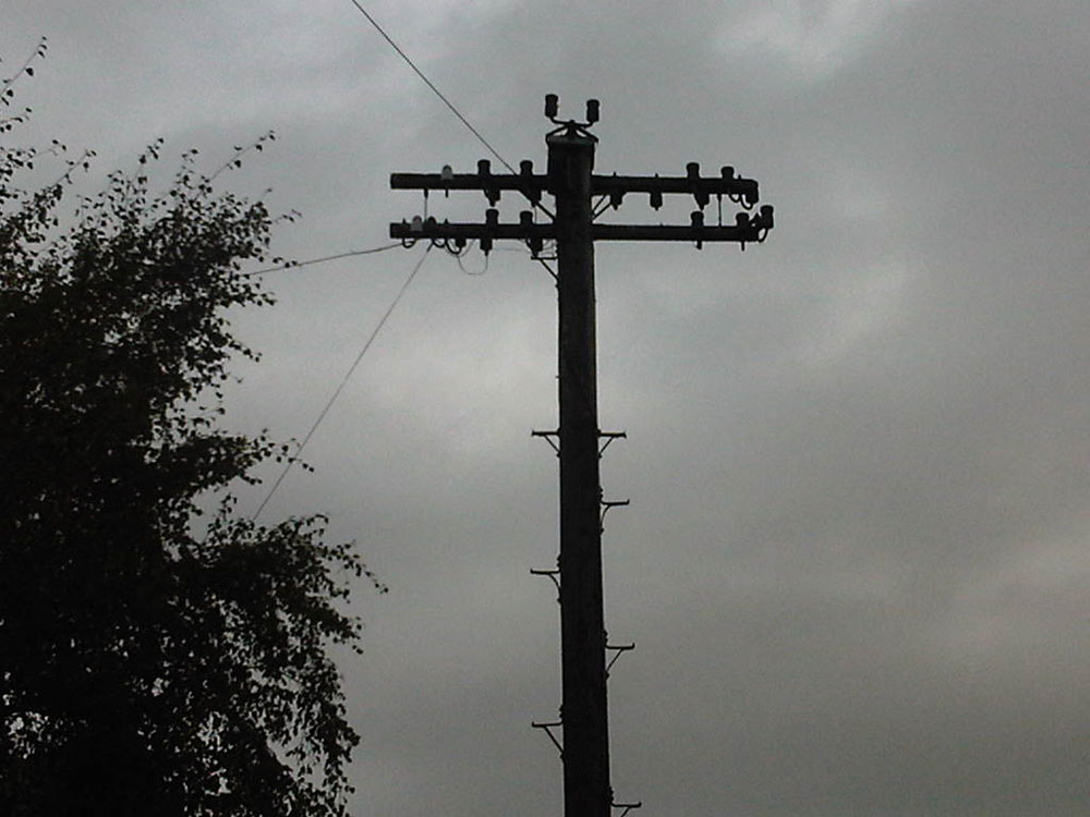 Insulators performing the twilight-gyre before roosting for the night Insulators roosting at sunset