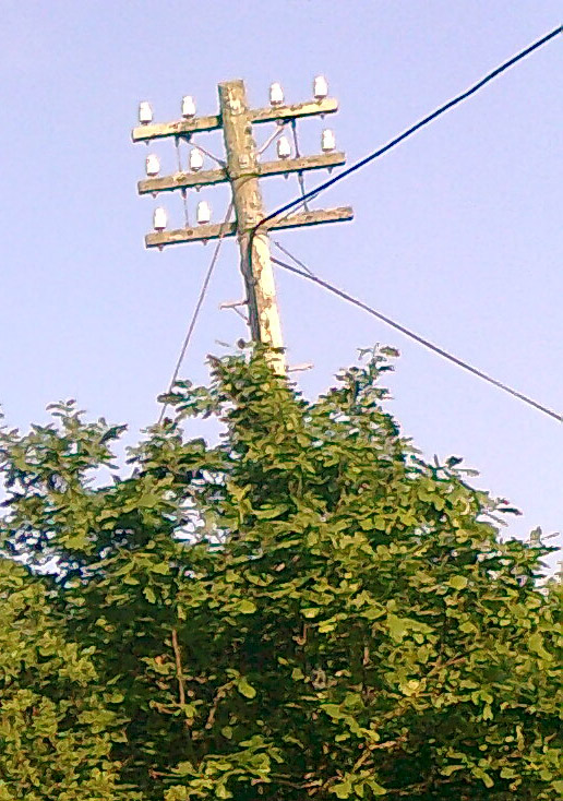 Close up of the top of a telegraph pole near Zelah, Cornwall