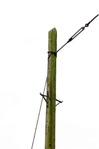 Pole of the Month October 2017