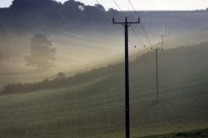 A line of power poles disappearing into the haze near Chalmington, Dorset