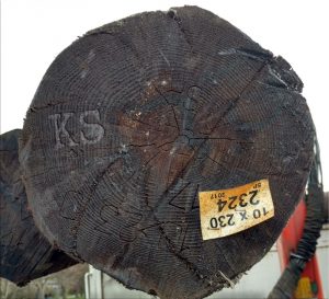 The butt of a telegraph pole bearing the initials KS