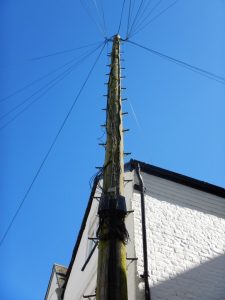 Very tall pole in Topsham, Devon