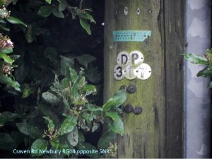 Telegraph Pole DP317