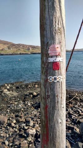 D plate and pole number of redundant pole at Castlebay, Barra. Opp Kisimul Castle