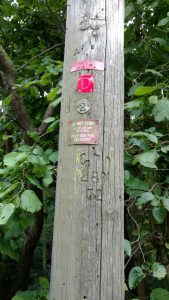 Closeup of the markings on a a 1932 5 armed telegraph pole near Ruthin, North Wales.