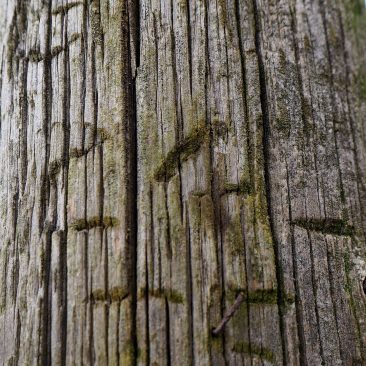 The etchings on a 1935 24ft Light telegraph pole