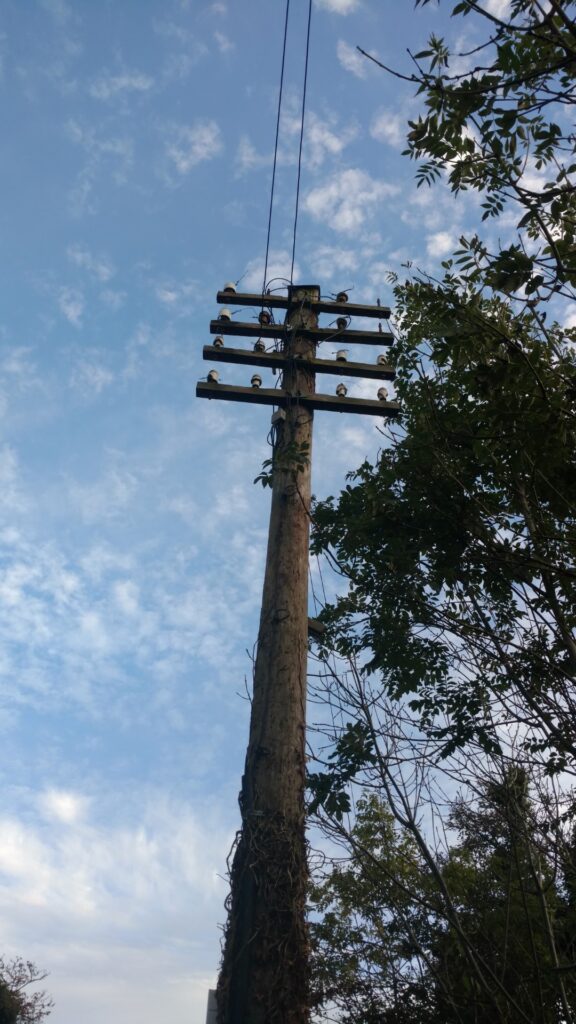 Four armed pole alongside the busy R173 north east of Dundalk, County Louth, Ireland