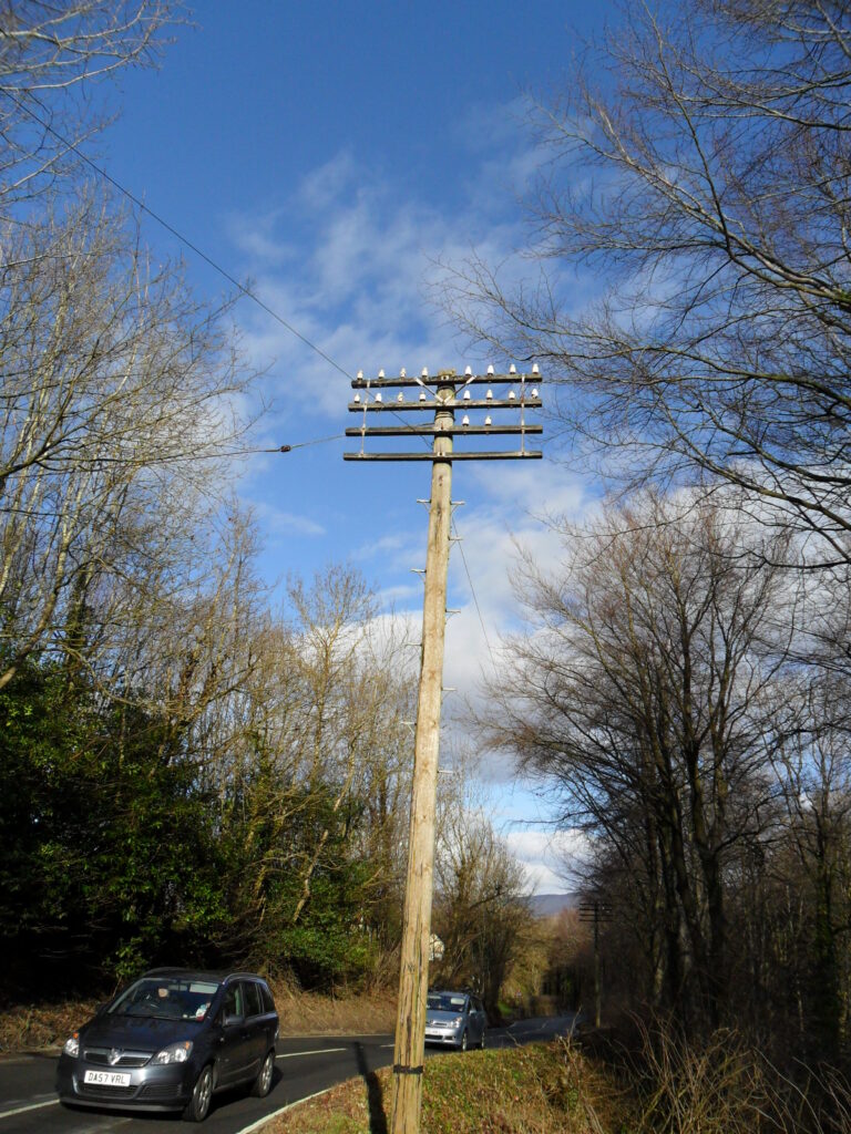 A wide, four armed telegraph pole with 18 insulators stands tall amongst the trees on the side of the B5105 in Denbighshire. Two cars passing below.