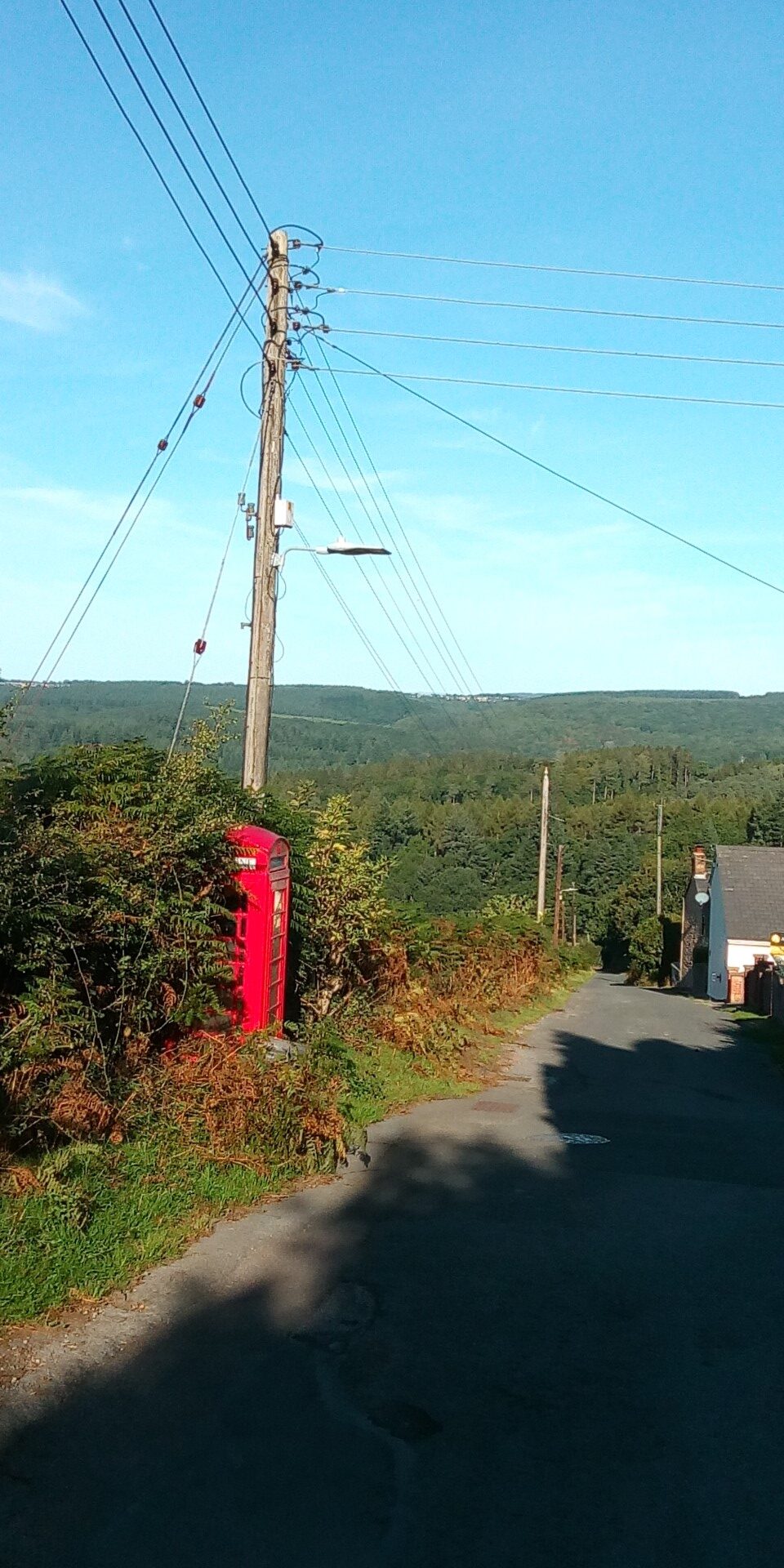 A rural scene in the Forest of Dean - dual use poles (power and phone) and a phone box alongside a quiet lane.