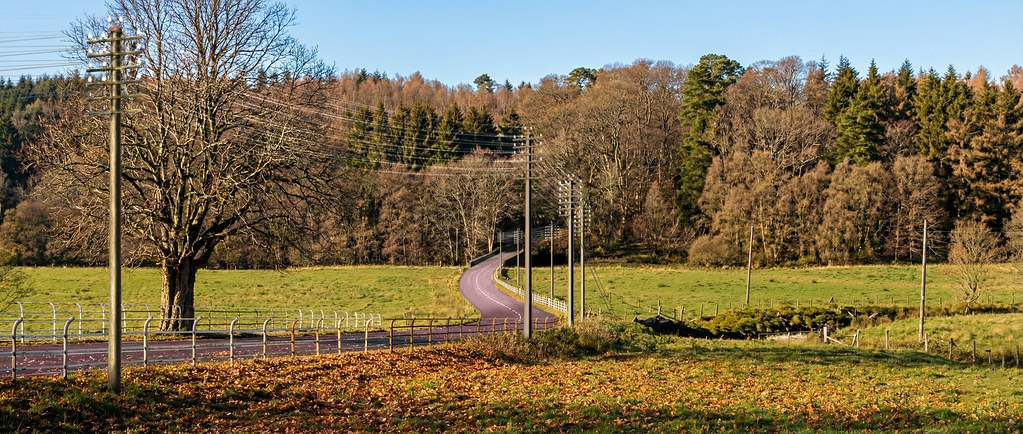 A main road curves past fields towards an autumn forest. A line of 6 armed telegraph poles dominate the scene.