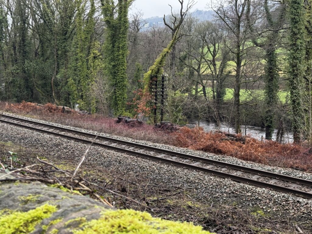 A 9 armed double stemmed telegraph pole complete with insulators. In the foreground is a railway track and behind and through trees, a river