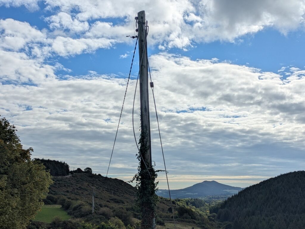 A disconnected, redundant telephone pole in foreground, with forest in middle ground and a sugarloaf hill in the distant background.