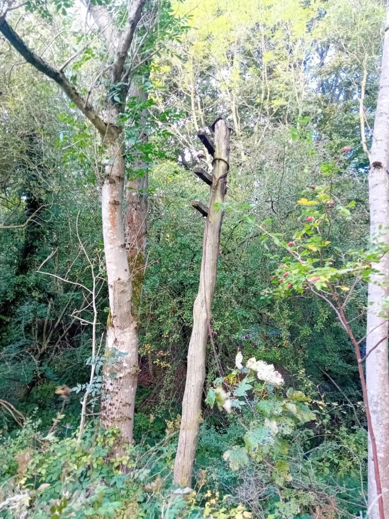 An actual olde-worlde telegraph pole